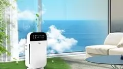 چطور تصفیه هوا می‌تونه فضای خونه‌ت رو زنده کنه؟