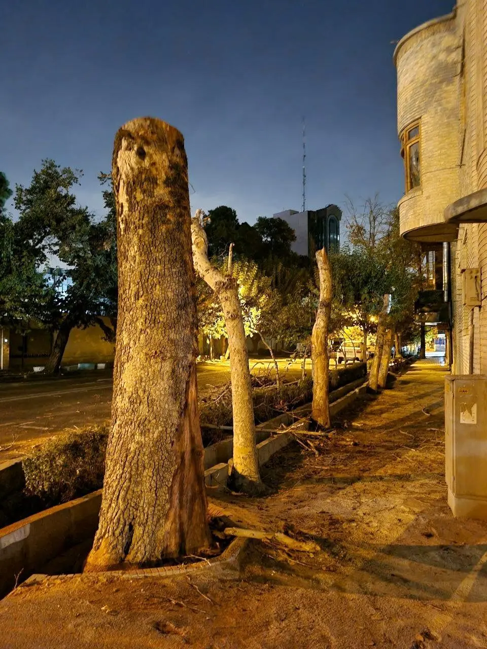 درختان تهران دوباره قطع شدند!