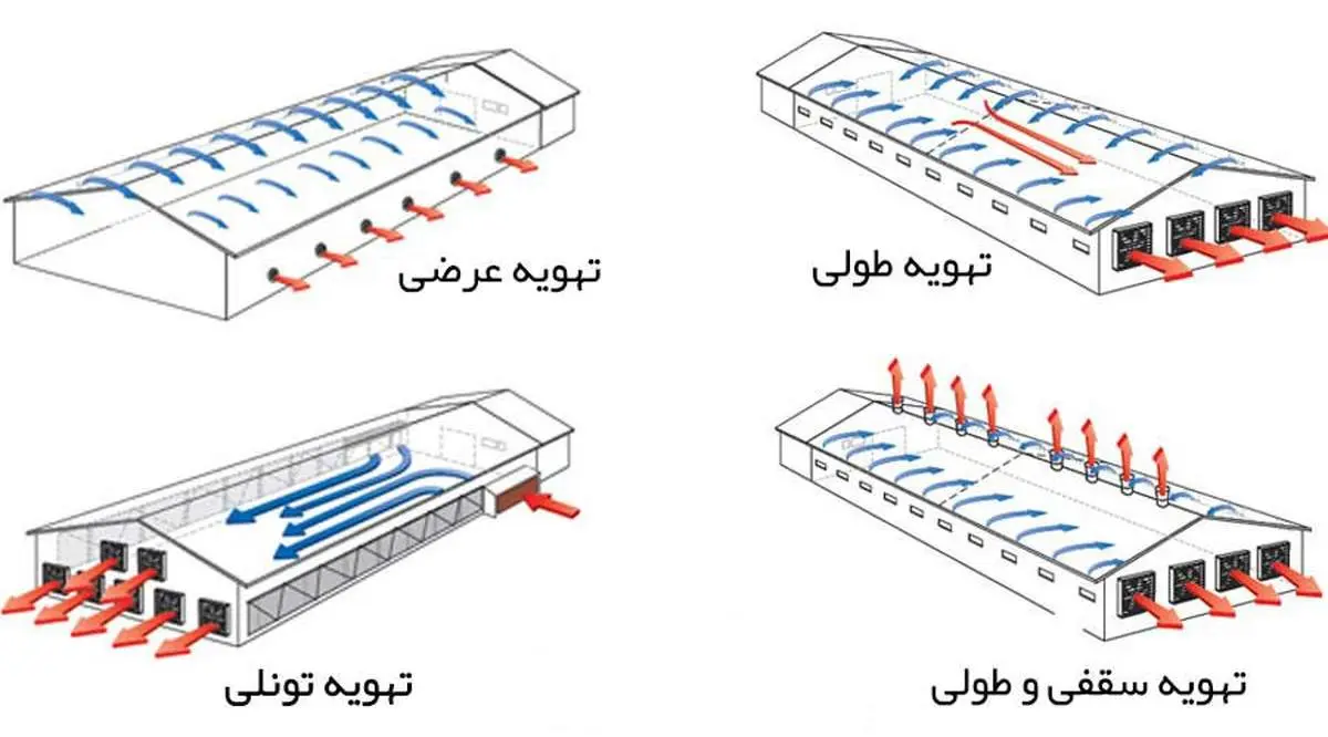 بهترین روش هوادهی سالن مرغداری در زمستان