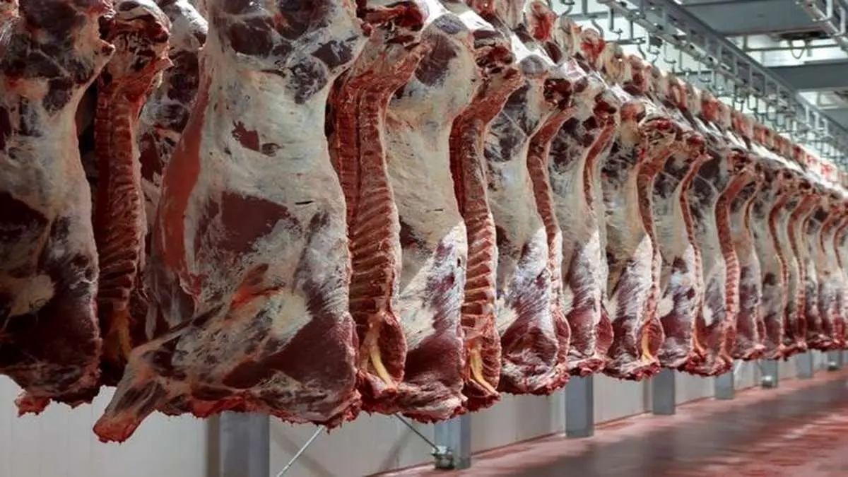 قیمت روز گوشت قرمز در ۲۴ تیر ۱۴۰۴