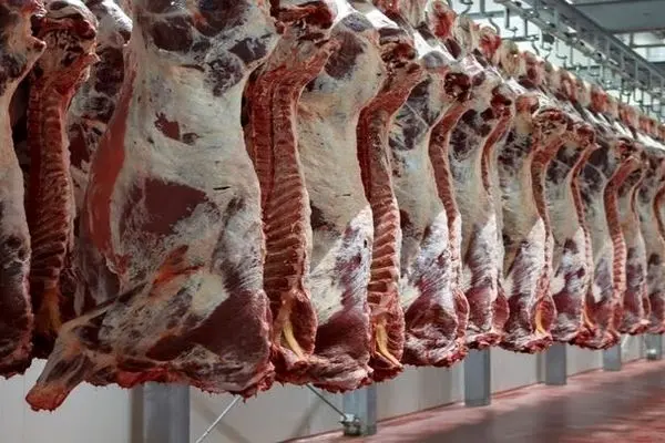 قیمت روز گوشت قرمز در ۲۴ تیر ۱۴۰۴
