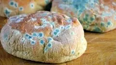 قویترین سموم در مواد غذایی کپکزده