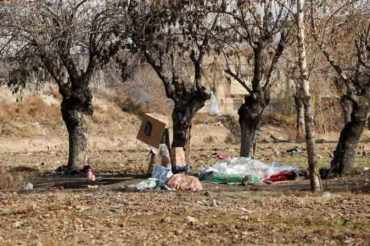 معتادان متجاهر لای درختچههای لاین وسط بزرگراه پنهان شده اند!