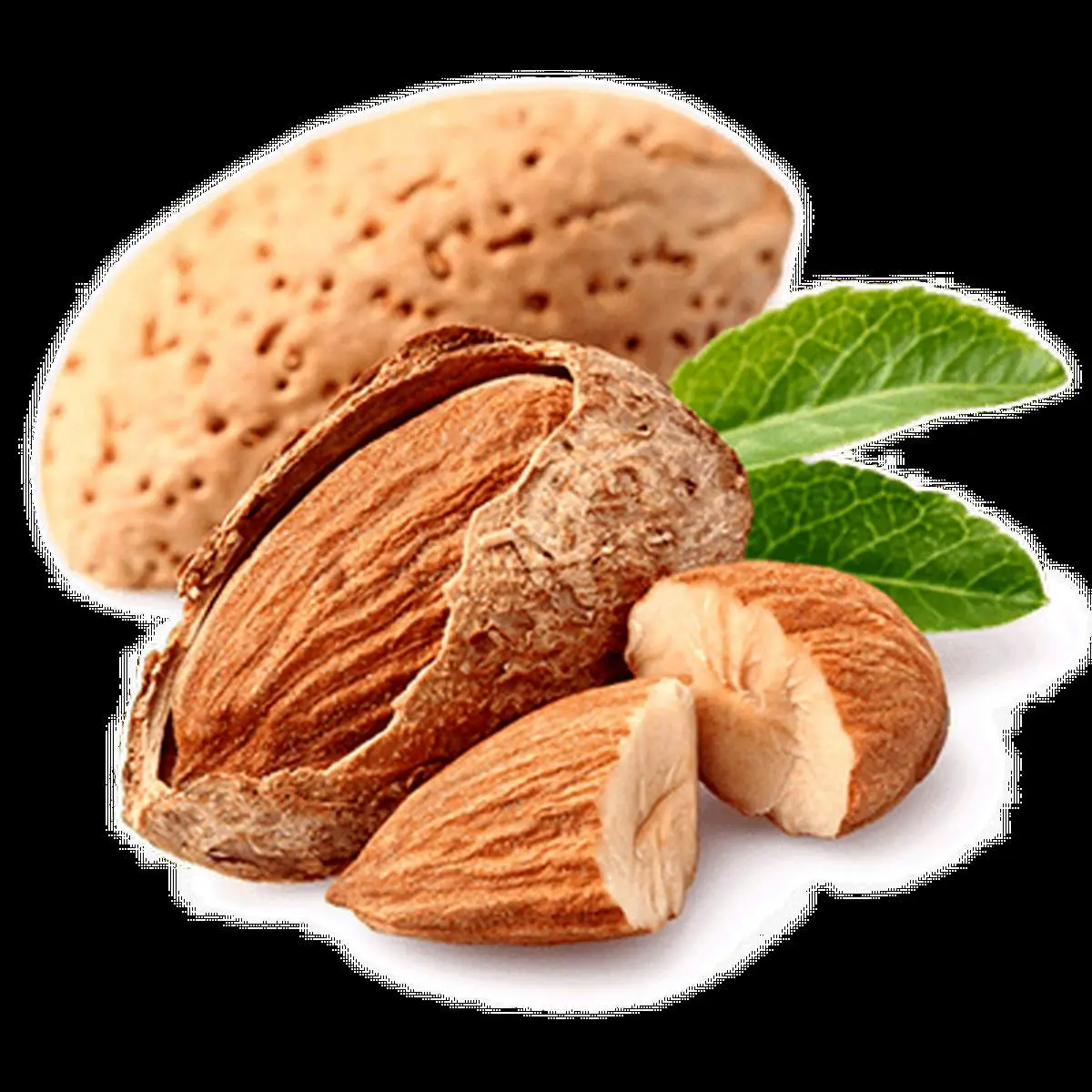 بادام بخورید/ بیشتر از ۱۰ تا ۱۵ عدد در روز ضرر دارد