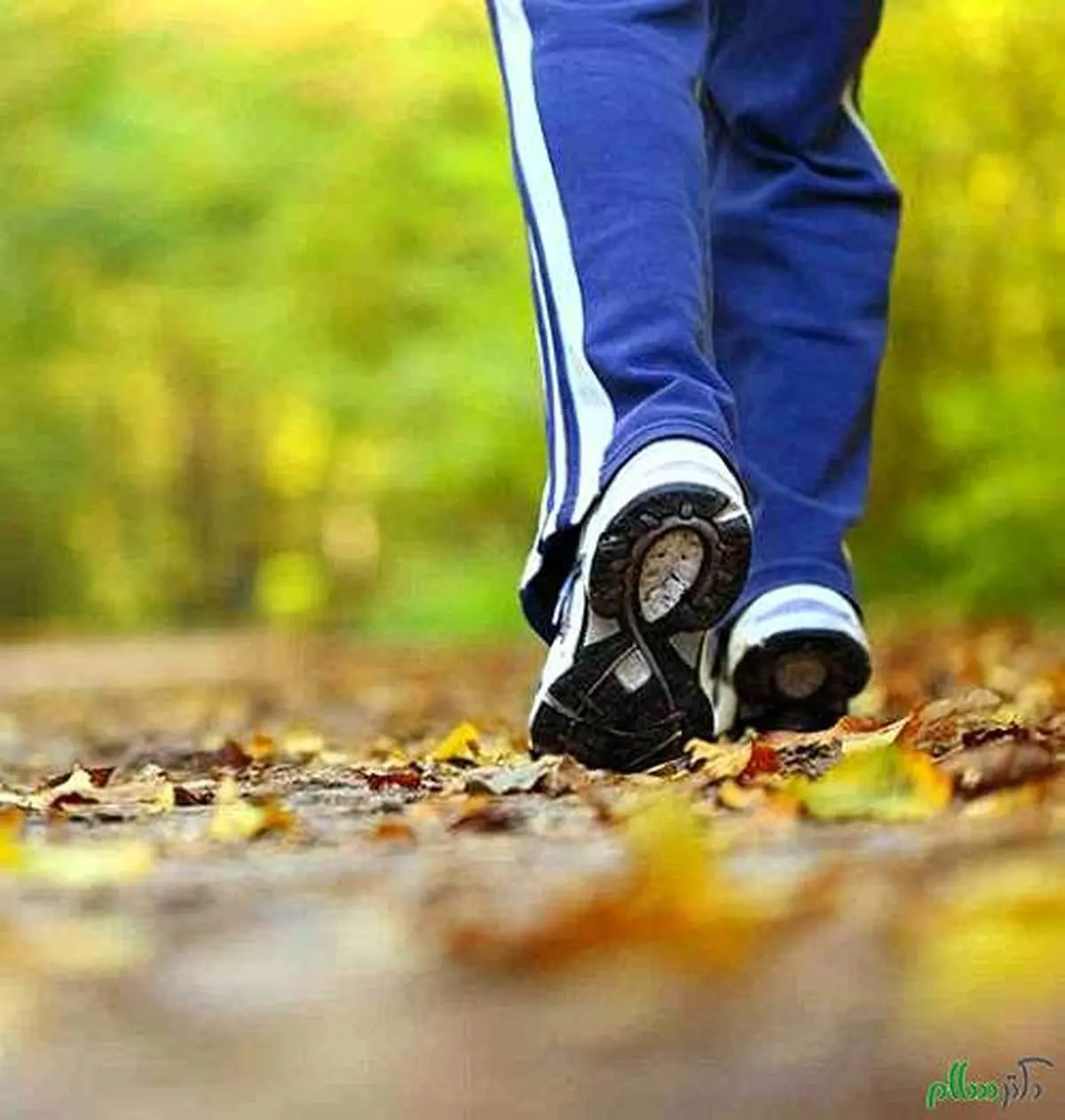 با این حرکت ساده به این زودی ها نمی میرید