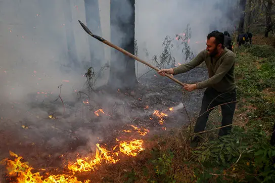ماجرای آتش‌سوزی ۸ هکتار از جنگل‌های الیت در شمال