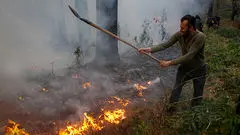 ماجرای آتش‌سوزی ۸ هکتار از جنگل‌های الیت در شمال