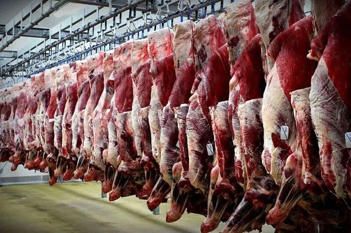 کشتار اجباری ۶ میلیون دام بعد از حذف ارز ترجیحی / دلیل گرانی گوشت چیست 