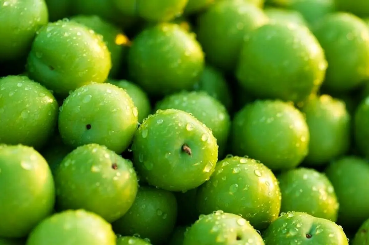 گوجه سبز کیلویی 11 میلیون!