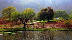 لباس گرم بپوشید، هوای پاییزی یکشنبه  از راه می‌رسد