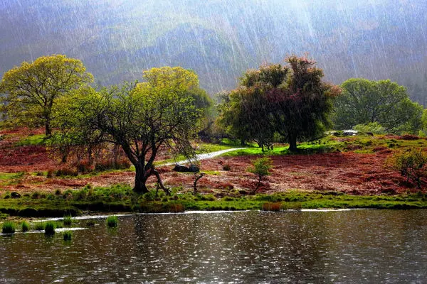 لباس گرم بپوشید، هوای پاییزی یکشنبه  از راه می‌رسد