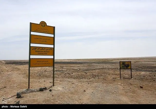 یک فاجعه زیست‌محیطی در مرکز ایران | 99 درصد تالاب گاوخونی از بین رفت 