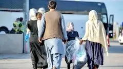 چرا اخراج اتباع غیرمجاز کند شده است؟ / کدام نهاد مسئول این کار است؟