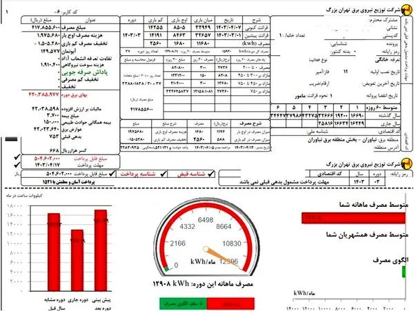 ۵۰ میلیون تومان، قبض برق مشترک تهرانی!/ عکس