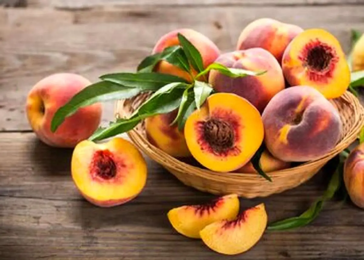 این میوه تابستانی خواص دارویی بینظیری دارد