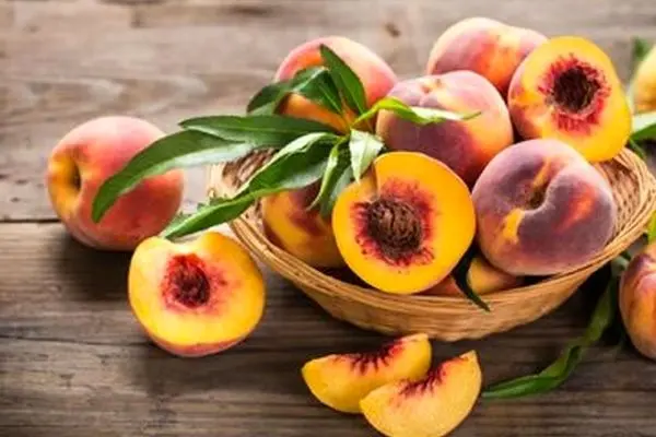 این میوه تابستانی خواص دارویی بی‌نظیری دارد