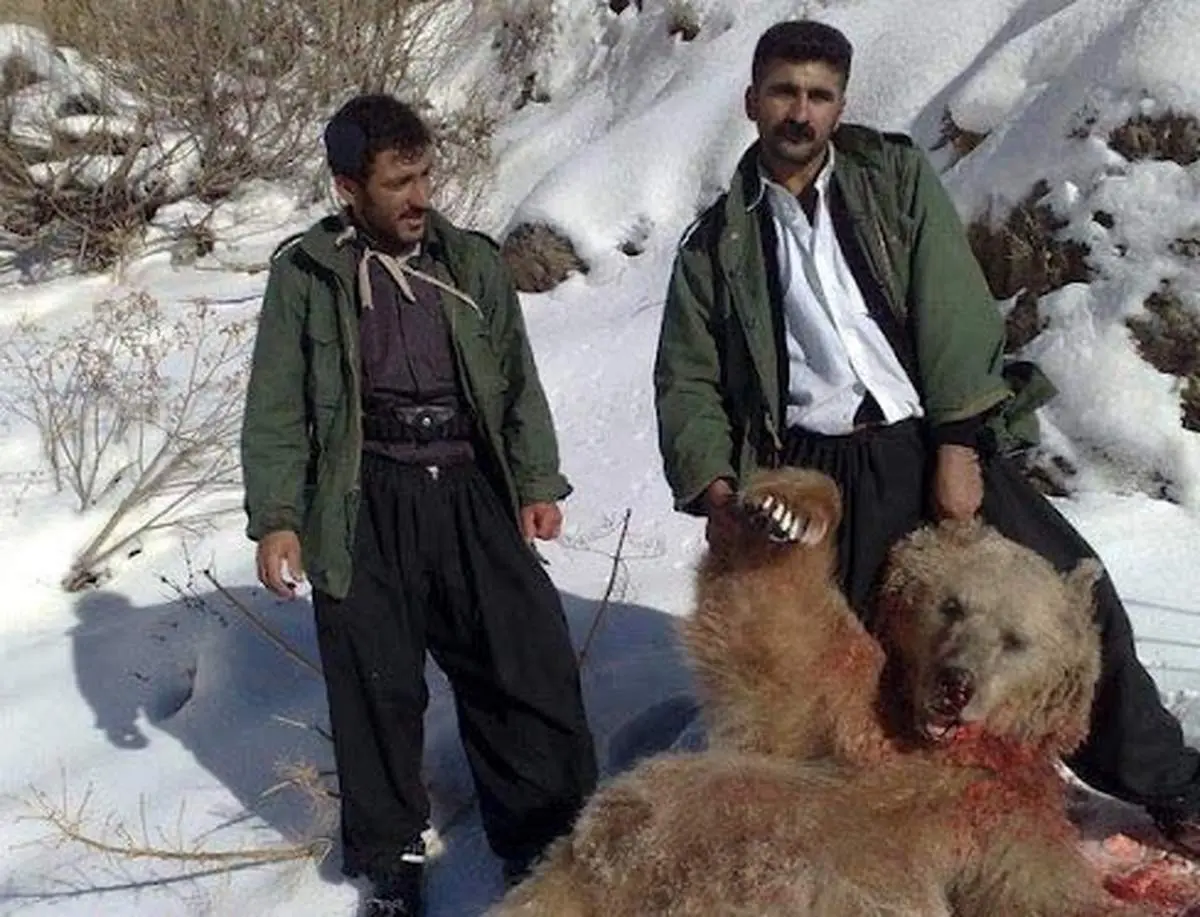 جریمه شکار حیوانات مختلف تعیین شد؛
از یکمیلیارد و ۴۰۰ میلیون تا دو میلیونو ۱۰۰ هزار