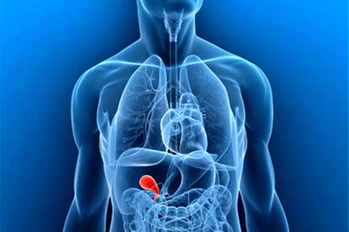 اگر میخواهید هورمون هایتان تنظیم شوند، مدتی به این خوراکیها لب نزنید