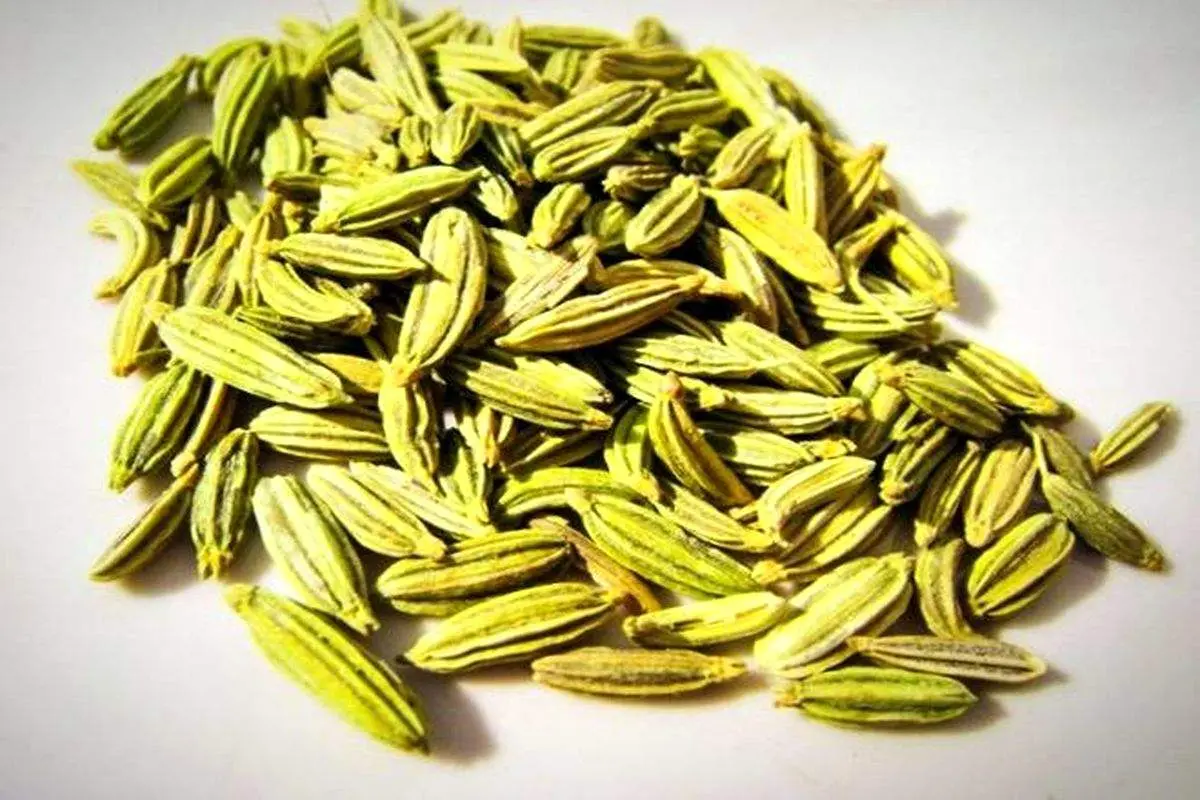 از کاهش التهاب تا پیشگیری از سرطان/ فواید بینظیر زیره سبز