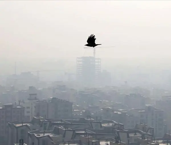 تهران دوباره آلوده می شود!