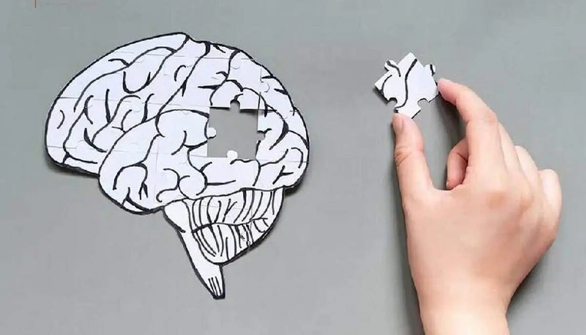 هشدار تازه درباره فست‌فودها؛ هر وعده اضافی، مغز را پیرتر می‌کند!