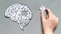 هشدار تازه درباره فست‌فودها؛ هر وعده اضافی، مغز را پیرتر می‌کند!