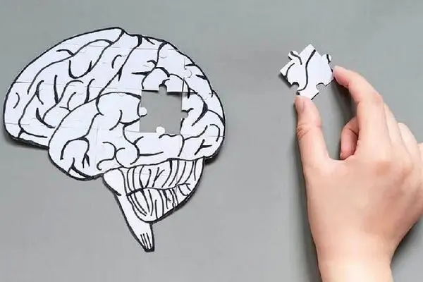 هشدار تازه درباره فست‌فودها؛ هر وعده اضافی، مغز را پیرتر می‌کند!