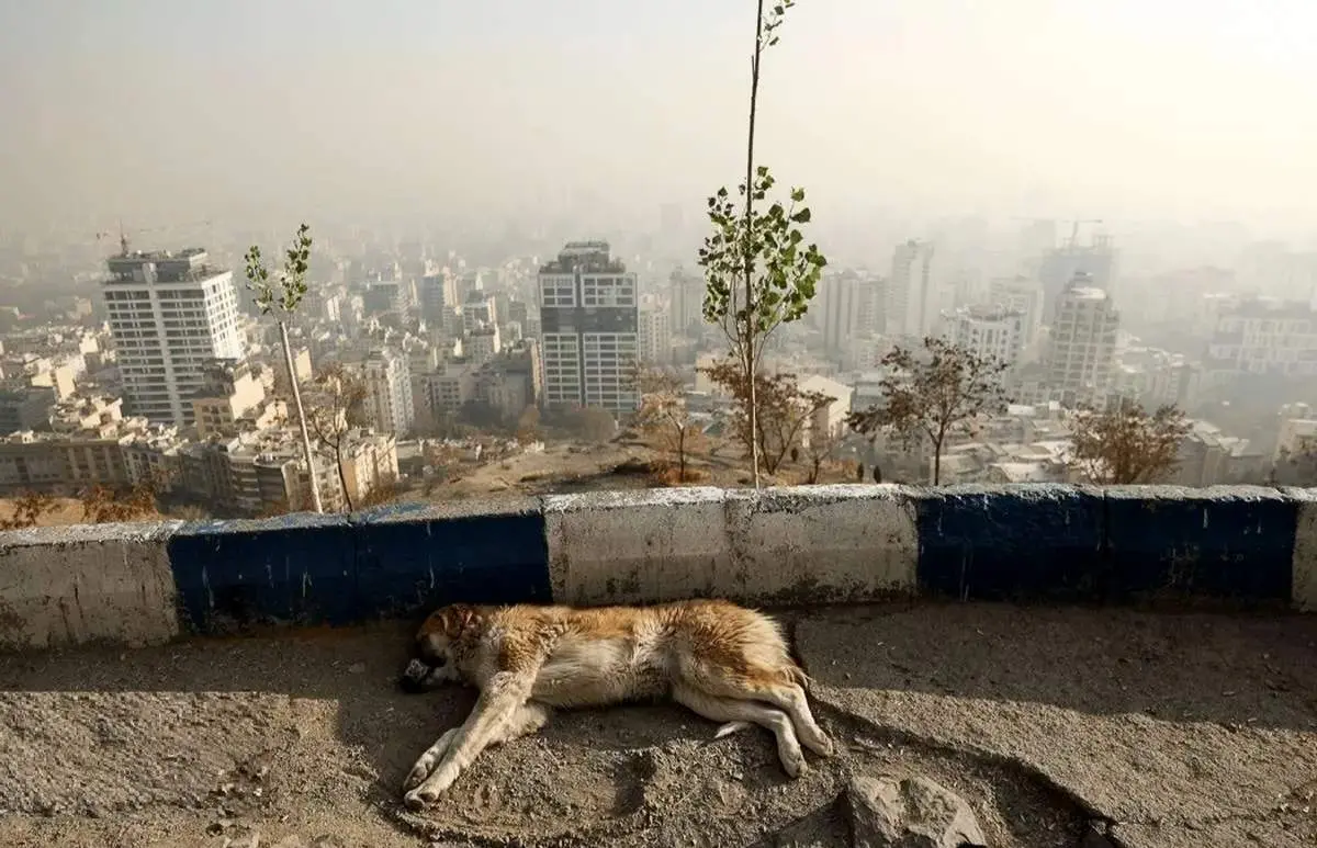 شاخص آلودگی هوا تهران عصر امروز سه‌شنبه ۱۸ آذر/ دوباره ناسالم شد