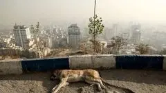 شاخص آلودگی هوا تهران عصر امروز سه‌شنبه ۱۸ آذر/ دوباره ناسالم شد