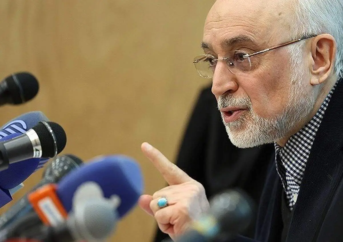 جزییات توافق ایران وآژانس برای من روشن نیست/ هر چه زمان بگذرد مشکل پیچیده‌تر می شود