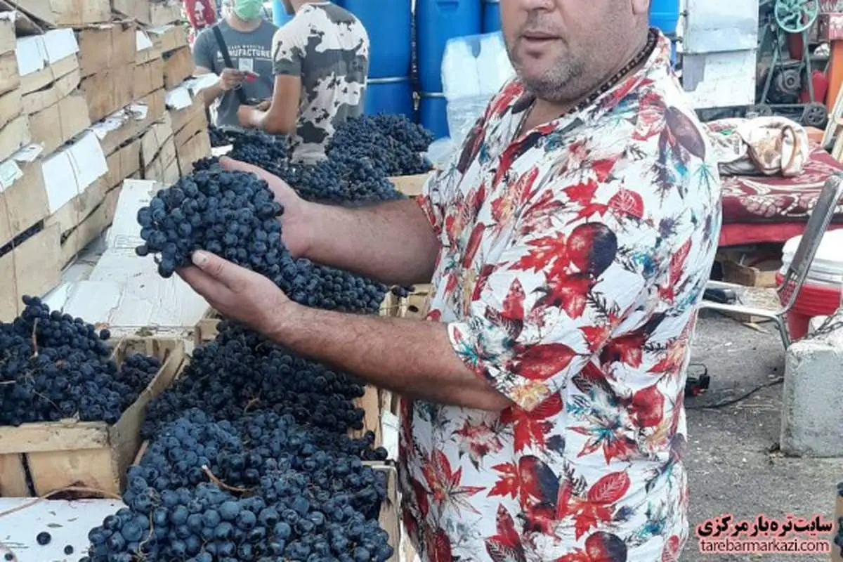 فروش آب انگور در میدان میوه و ترهبار ممنوع شد / دستگاههای آبگیری باید جمعآوری شوند