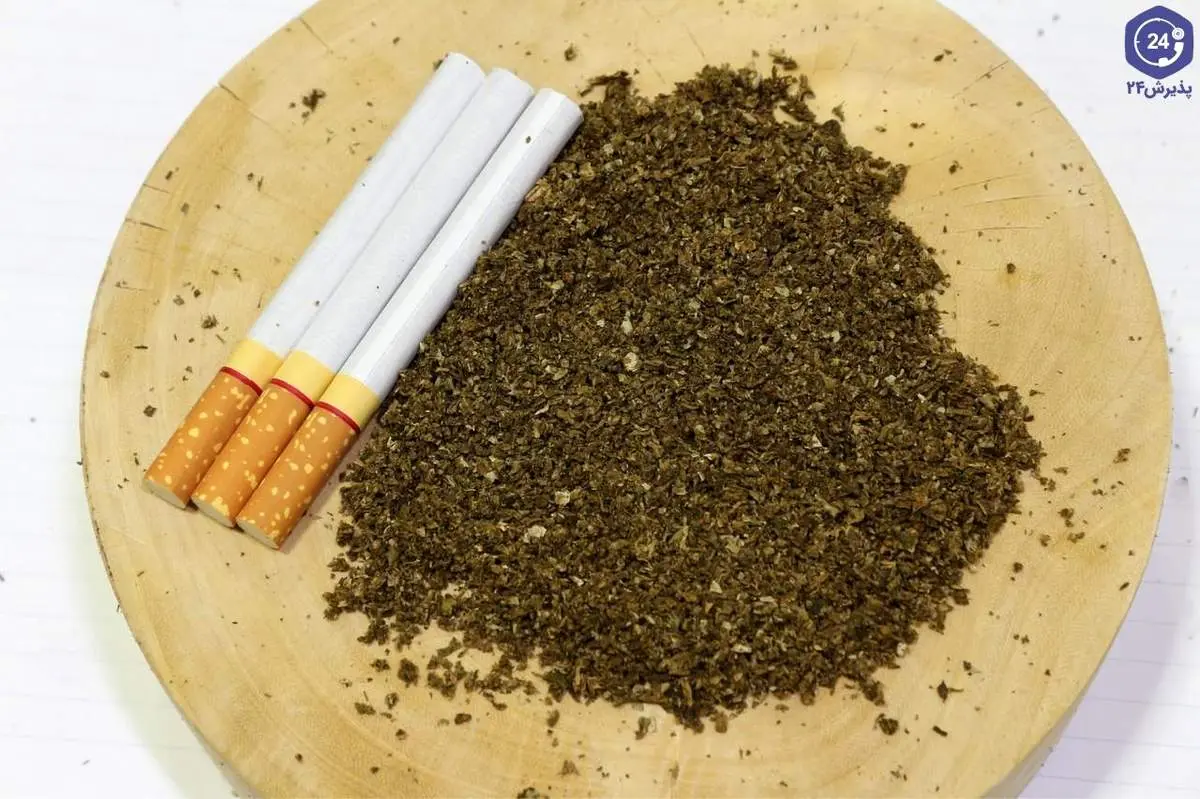 آیا می دانستید حشیش پرمصرف ترین مخدر دنیاست؟