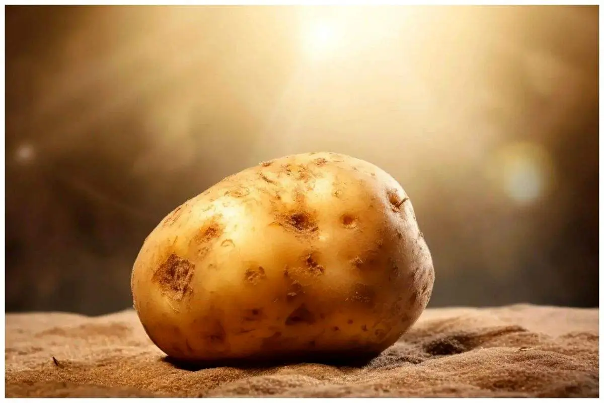 با معجزات آب سیبزمینی آشنا شوید!