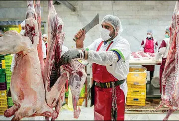نبود خریدار باعث سقوط ۴۰ تا ۶۰ درصدی فروش گوشت شده