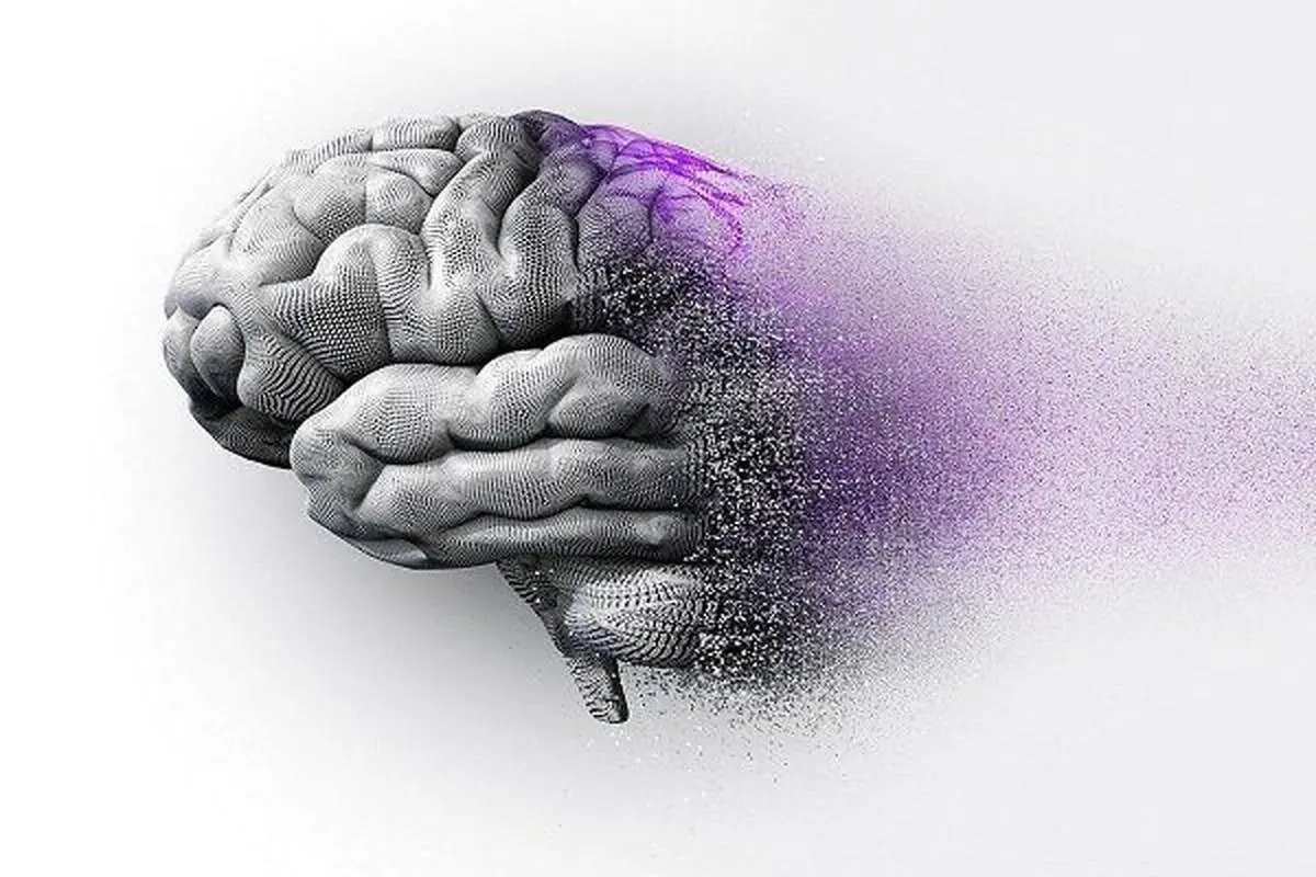 رژیم غذایی سالم با آجیل/ کاهش ۱۶ درصدی خطر زوال عقل