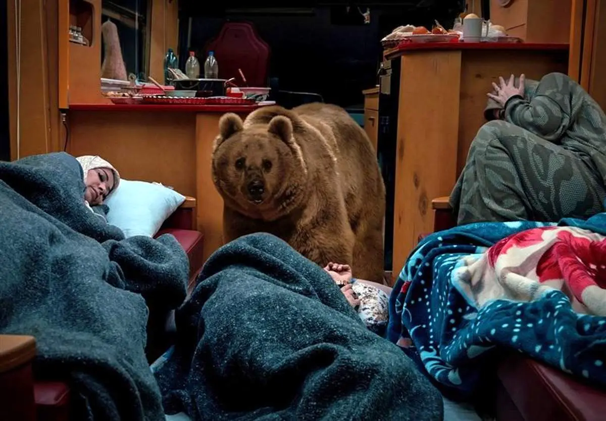 ناگفتههایی جالب از  ورود «خرس» به پایتخت