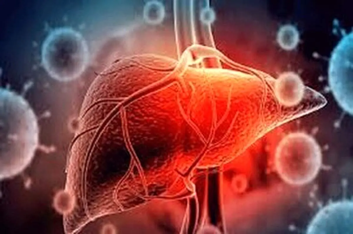 مکملهای ضروری برای سلامت کبد؛ راهنمای انتخاب بهترینها