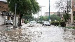 سرما وارد شد/ آغاز بارش ها در زنجان، قزوین، البرز، تهران و سمنان