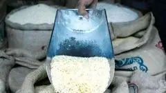 پشت پرده ۳ برابر شدن قیمت برنج پاکستانی در بازار