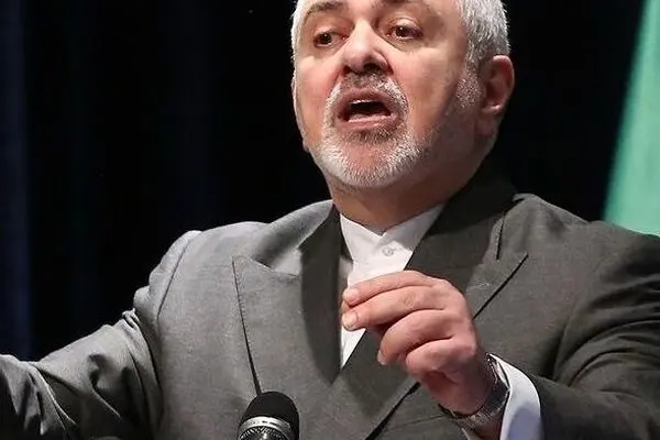 ظریف: باید بفهمیم کاترین شکدم چطوری آمد در کشور ما