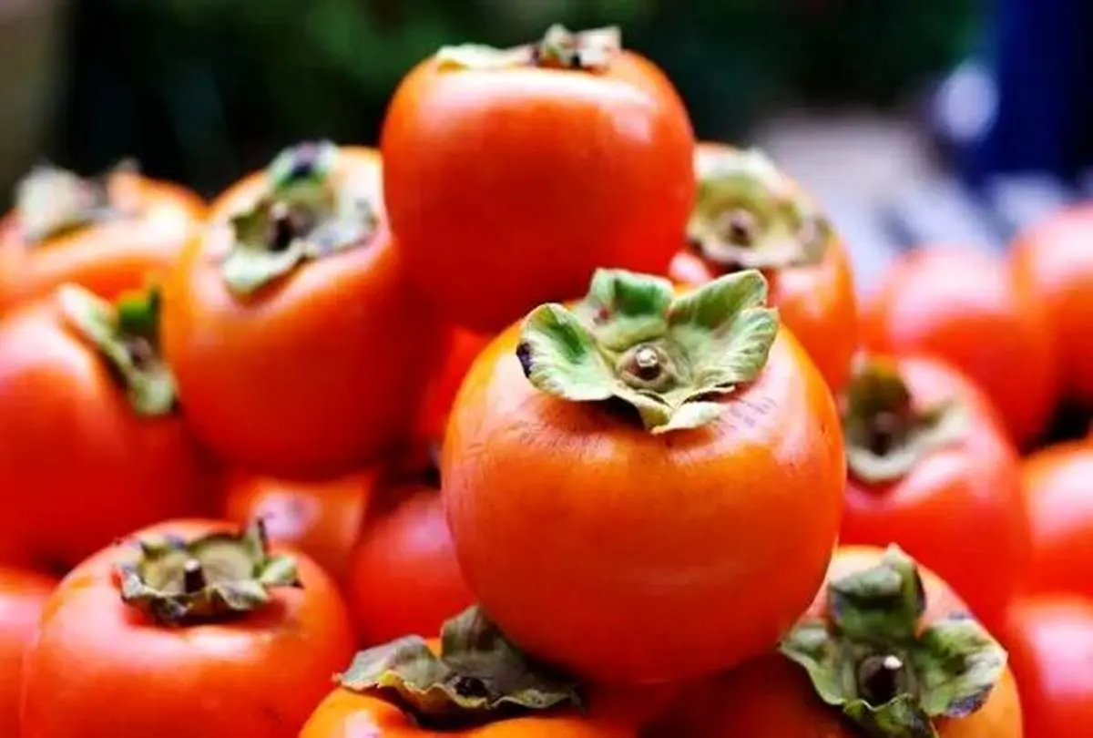 اگر کم خونید از معجزه این میوه غافل نشوید