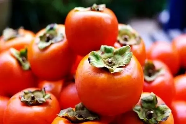 آلرژی به خرمالو/ علائم، علت و راهکارهای پیشگیری