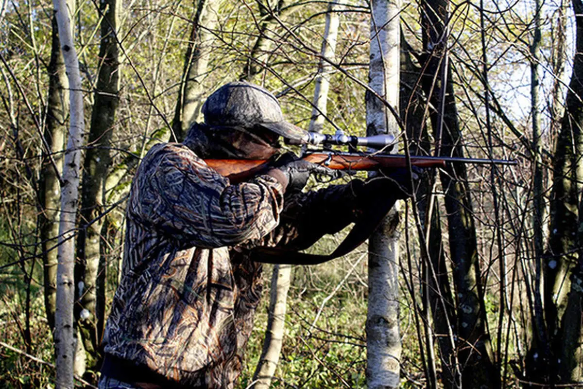 شکار این حیوان 12 سال حبس دارد! + عکس