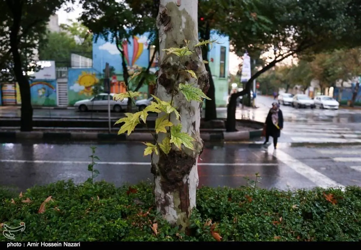 باد و باران در راه قزوین 