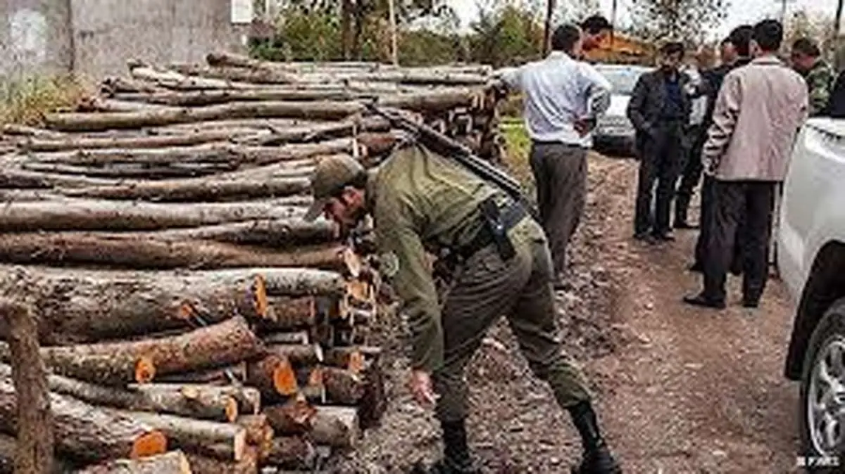 دو خودروی حامل چوب قاچاق در نوشهر توقیف شد
