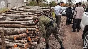 دو خودروی حامل چوب‌ قاچاق در نوشهر توقیف شد