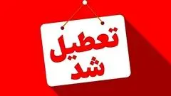 
کدام مقاطع مدارس تهران ۵ روز تعطیل شد؟
