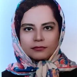 پرارین  پورحاجی‌زاده