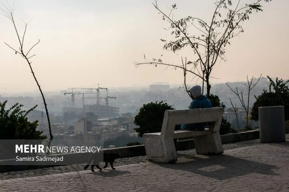 تمدید طرح زوج و فرد از در منازل و محدودیت تردد کامیون‌ها در تهران