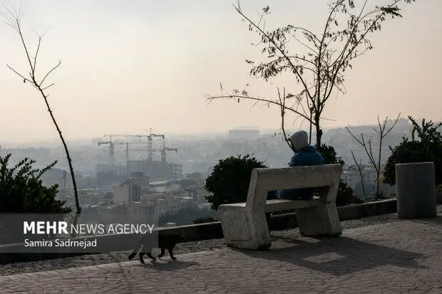 مدارس و دانشگاه‌های البرز غیرحضوری شد